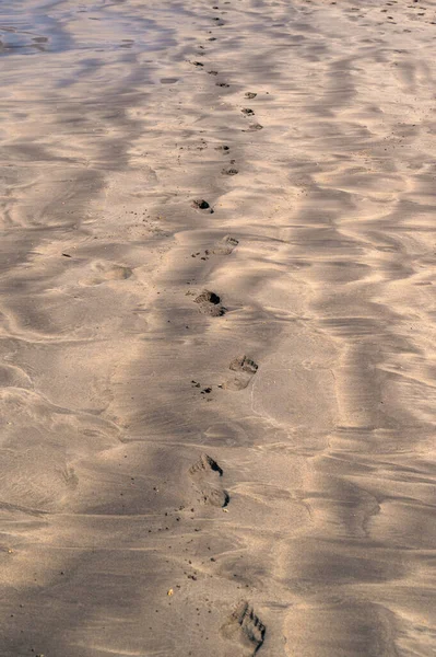Passi Nella Sabbia Una Spiaggia — Foto Stock
