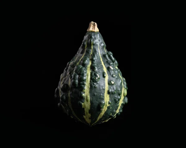 Calabaza Aislada Sobre Fondo Oscuro —  Fotos de Stock