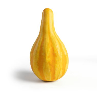 Beyaz arkaplanda kabak izole