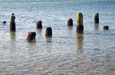 ahşap mesaj ile kumlu kıyı