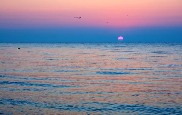 Sunrise at sea with gulls