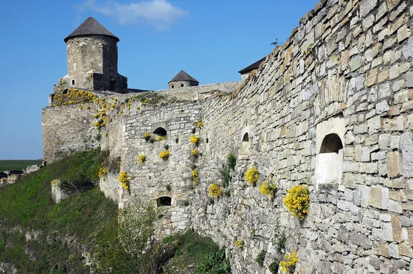 Watchtower and defensive walls — Stock Photo, Image