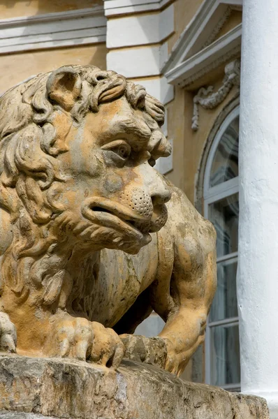 Скульптура лева в старовинному палаці — стокове фото