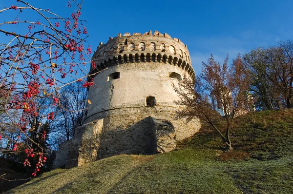 A régi vár tornya — Stock Fotó