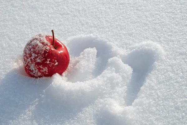 Pomme rouge sur neige — Photo