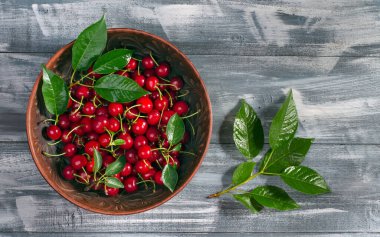 Kil tabakta olgun sulu kirazlar ve gri ahşap arka planda yeşil kiraz filizi. Üst görünüm.