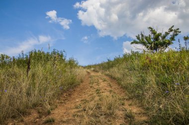 Dağlarda şafak vakti. Şafak vakti dağlarda yol var. Güneş dağların ardından doğuyor. Güzel yeşil ve sarı tepeler. Renkli bulutlu bir gökyüzü. Sisin içindeki dağlar. Karpatlar, Ukrayna,