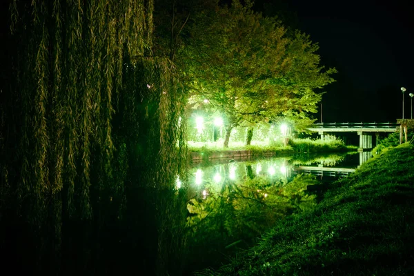 Hermoso Terraplén Nocturno Cerca Del Río Con Luces Verdes Una — Foto de Stock