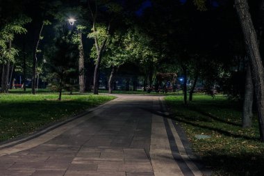 Sonbaharda fenerlerle dolu gece parkındaki sarp yol. Sonbahar sezonu boyunca parktaki banklar. Geceleri fenerlerle dolu bir parkın aydınlanması. Park Kyoto