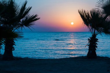 Denizde güzel bir gün doğumu. Kızıl Deniz 'de şafak vakti. Güneş, denize yansıyor. Doğan güneşin arka planında palmiye ağaçları ve palmiye yaprakları. Tropik gün doğumu