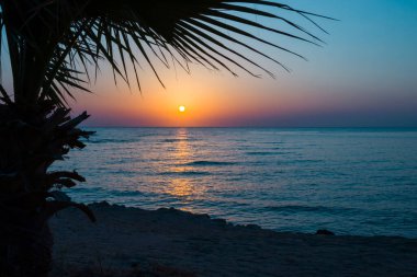 Denizde güzel bir gün doğumu. Kızıl Deniz 'de şafak vakti. Güneş, denize yansıyor. Doğan güneşin arka planında palmiye ağaçları ve palmiye yaprakları. Tropik gün doğumu