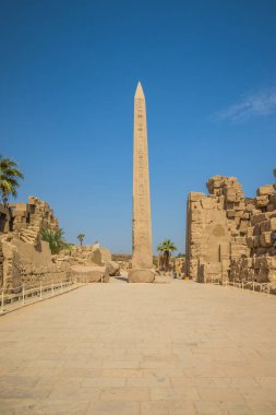 Luxor 'daki Karnak Anscient Tapınağı Mısır' ı harap etti. Karnak tapınağında hiyeroglifli kutsal dikilitaş. Amon-Ra Tapınağı.