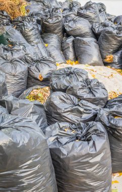 Siyah plastik torbalarda düşen yapraklar. Geçen yıl çantada keklik.