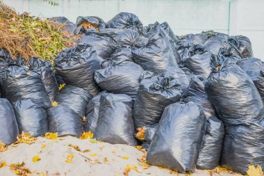Siyah plastik torbalarda düşen yapraklar. Geçen yıl çantada keklik.