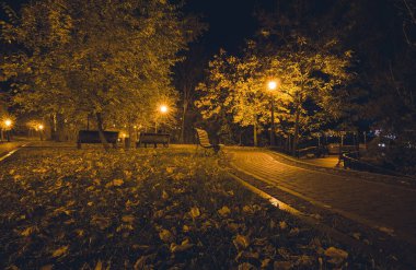 Sonbaharda fenerlerle dolu gece parkındaki sarp yol. Sonbahar sezonu boyunca parktaki banklar. Geceleri fenerlerle dolu bir parkın aydınlanması. Mariinsky Parkı. Kyiv