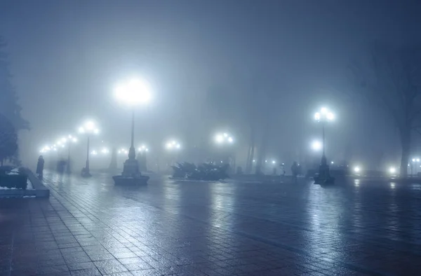 Callejón Principal Parque Nocturno Invierno Una Niebla Sendero Fabuloso Parque —  Fotos de Stock