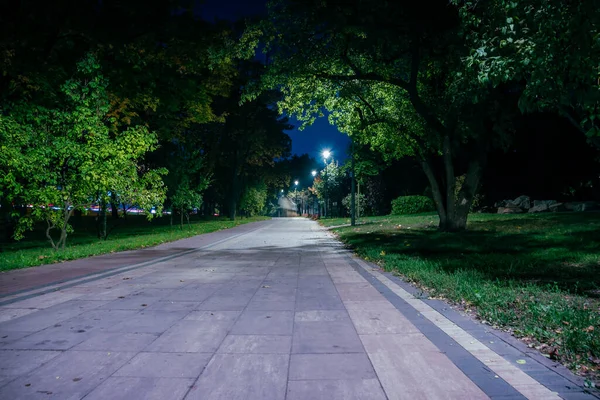 Ucpaná Cesta Nočním Parku Lucernami Podzim Lavičky Parku Během Podzimní — Stock fotografie