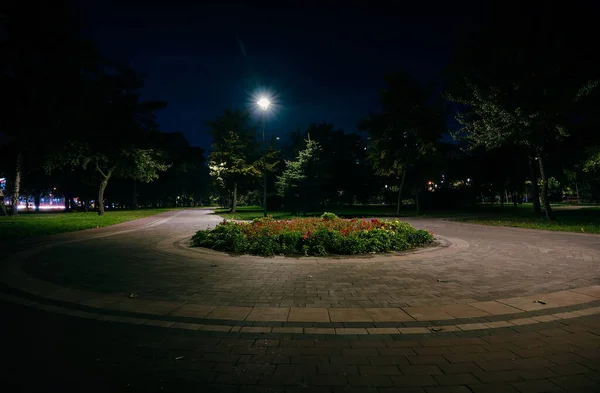 秋天的时候 公园里铺满了灯笼的泥泞的道路 秋天的夜晚 公园里的长椅 夜晚点着灯笼的公园路上的灯光 京都公园 — 图库照片