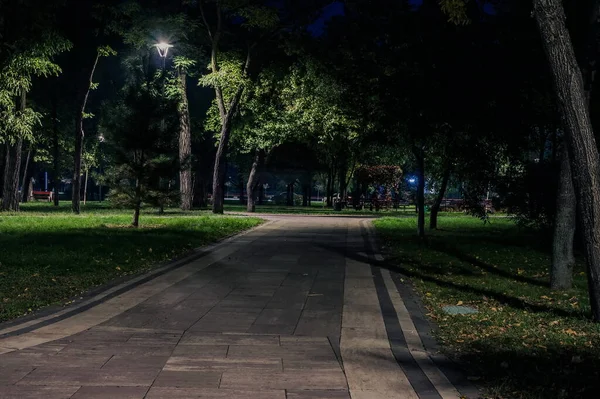 Ősszel Éjszakai Parkban Lámpásokkal Este Padok Parkban Őszi Szezonban Egy — Stock Fotó