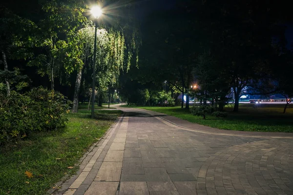 Den Teiled Vägen Nattparken Med Lyktor Hösten Bänkar Parken Höstsäsongen — Stockfoto