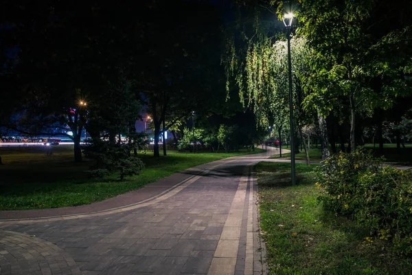 Πλακόστρωτος Δρόμος Στο Νυχτερινό Πάρκο Φανάρια Φθινόπωρο Πάγκοι Στο Πάρκο — Φωτογραφία Αρχείου