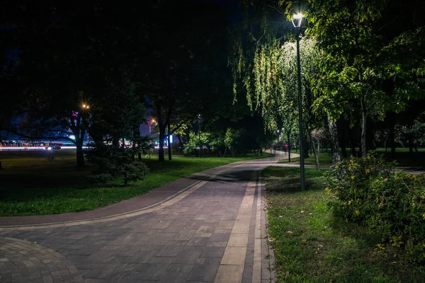 Ősszel Éjszakai Parkban Lámpásokkal Este Padok Parkban Őszi Szezonban Egy — Stock Fotó