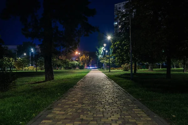 Πλακόστρωτος Δρόμος Στο Νυχτερινό Πάρκο Φανάρια Φθινόπωρο Πάγκοι Στο Πάρκο — Φωτογραφία Αρχείου