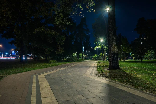 Camino Teiled Parque Nocturno Con Linternas Otoño Bancos Parque Durante — Foto de Stock