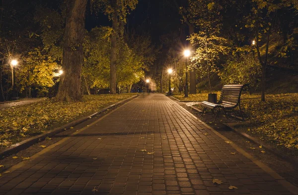 Жартівлива Дорога Нічному Парку Ліхтарями Восени Парку Під Час Осіннього — стокове фото
