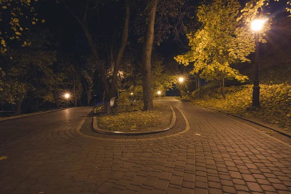 Ősszel Éjszakai Parkban Lámpásokkal Este Padok Parkban Őszi Szezonban Egy — Stock Fotó