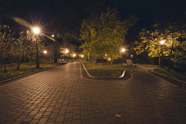 Camino Teiled Parque Nocturno Con Linternas Otoño Bancos Parque Durante — Foto de Stock