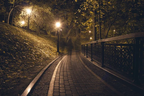 Ucpaná Cesta Nočním Parku Lucernami Podzim Lavičky Parku Během Podzimní — Stock fotografie