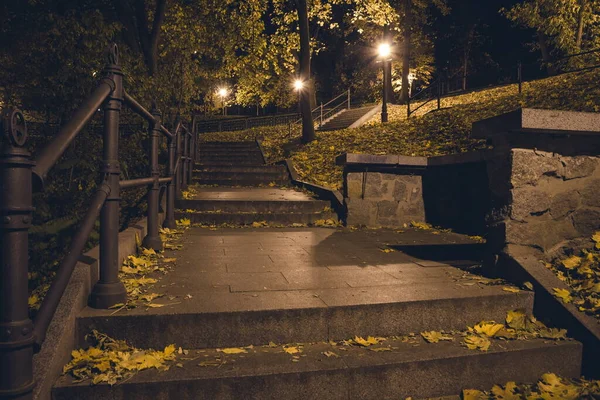 Előkelő Lépcsők Éjszakai Parkban Lámpásokkal Ősszel Este Padok Parkban Őszi — Stock Fotó