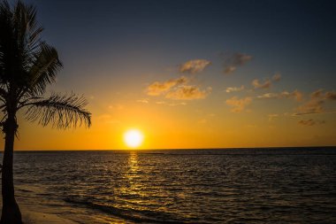 Şafak sökmeden önce kıyıda sırık ve palmiye ağaçları. Denizde güzel bir gün doğumu. Atlantik Okyanusu 'nda şafak vakti. Güneş, denize yansıyor. Doğan güneşin arka planında palmiye ağaçları. Tropik gün doğumu