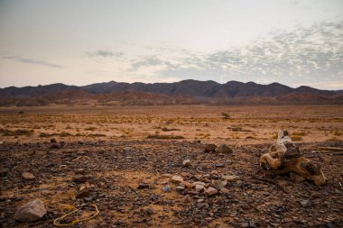 Güneş battıktan bir saat sonra çöldeki dağların arkasında Mısır Sandy ön planda, kayalık dağlar arka planda karaya çıkar. Gün batımında gökyüzünde küçük bulutlar.