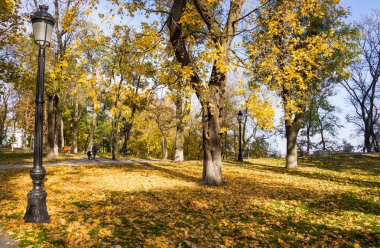 Sonbaharda güzel bir park. Bahçede sarı yapraklar. Güzel bir sonbahar günü