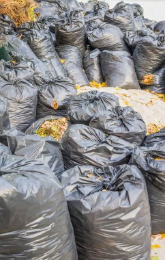 Siyah plastik torbalarda düşen yapraklar. Geçen yıl çantada keklik.