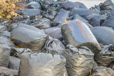 Siyah plastik torbalarda düşen yapraklar. Geçen yıl çantada keklik.