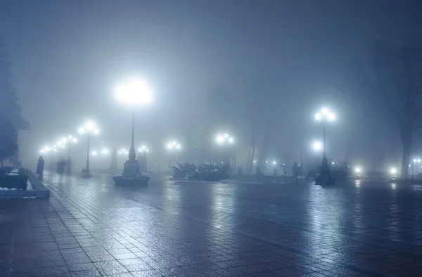 大雾中的冬夜公园的主要小巷 在一个迷人的冬城公园的人行道上 夜雾弥漫 长椅和厕所密布 美丽的雾蒙蒙的夜晚 在Mariinsky公园 乌克兰基辅 — 图库照片