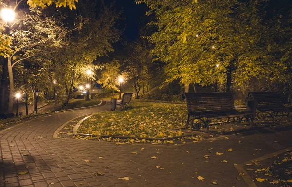 Дорога Ночном Парке Фонарями Осенью Скамейки Парке Течение Осеннего Сезона — стоковое фото