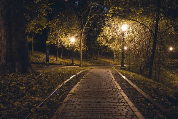 Ősszel Éjszakai Parkban Lámpásokkal Este Padok Parkban Őszi Szezonban Egy — Stock Fotó