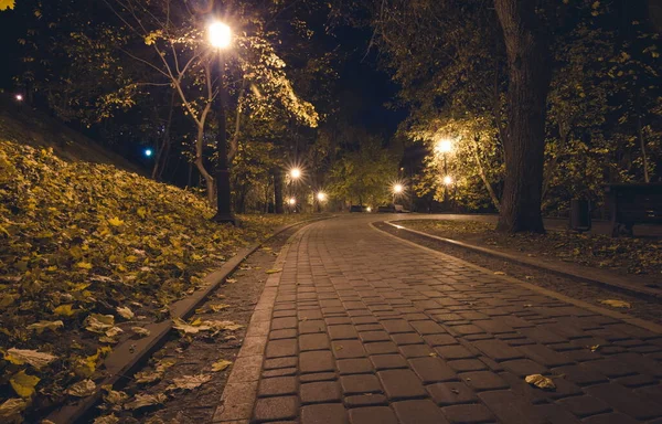 Route Tachée Dans Parc Nuit Avec Des Lanternes Automne Bancs — Photo