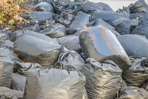 Siyah plastik torbalarda düşen yapraklar. Geçen yıl çantada keklik.