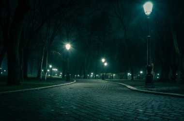 The alley of a night early winter park in a light fog. Footpath in a fabulous late autumn city park at night with benches and latterns. Beautiful cold evening in Mariinsky Park. Kyiv, Ukraine.
