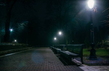 The alley of a night early winter park in a light fog. Footpath in a fabulous late autumn city park at night with benches and latterns. Beautiful cold evening in Mariinsky Park. Kyiv, Ukraine.