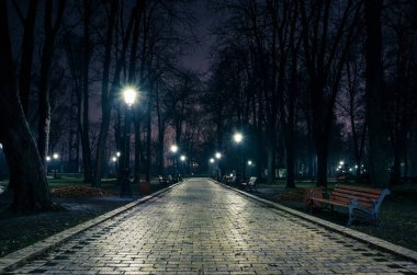 Hafif sisli bir kış parkının ana caddesi. Gece yarısı muhteşem bir sonbahar şehir parkında, banklar ve sonrakilerle dolu bir patika. Mariinsky Park 'ta güzel soğuk bir akşam. Kyiv, Ukrayna.