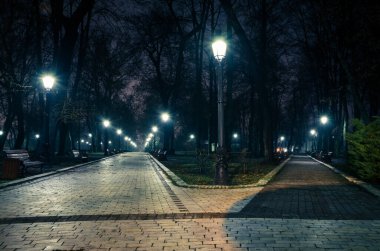 Hafif sisli bir kış parkının ana caddesi. Gece yarısı muhteşem bir sonbahar şehir parkında, banklar ve sonrakilerle dolu bir patika. Mariinsky Park 'ta güzel soğuk bir akşam. Kyiv, Ukrayna.