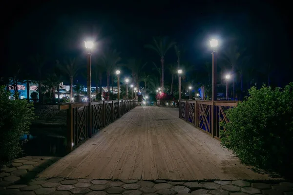 Drewniany Most Oświetlony Lampami Pięknymi Krzakami Palmami Nocy Widok Nocny — Zdjęcie stockowe