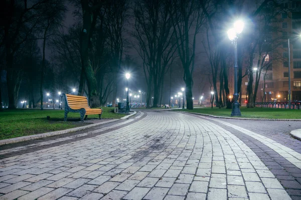 Alley Night Early Winter Park Light Fog Footpath Fabulous Late — Fotografia de Stock