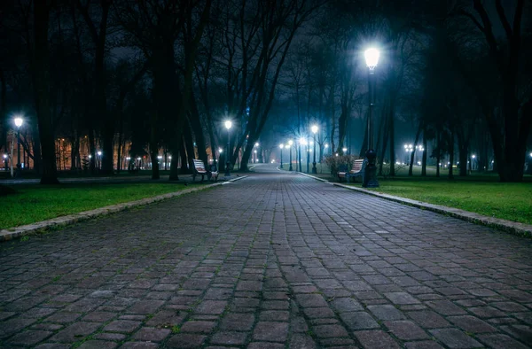 The alley of a night early winter park in a light fog. Footpath in a fabulous late autumn city park at night with benches and latterns. Beautiful cold evening in Mariinsky Park. Kyiv, Ukraine.